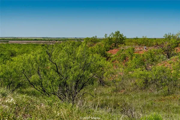 a view of a field with an ocean