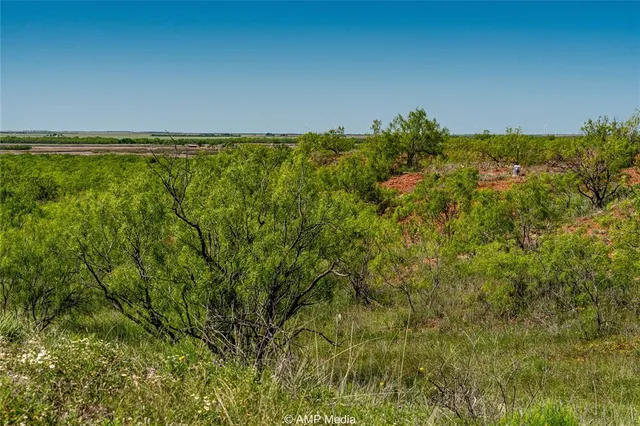 a view of a field with an ocean