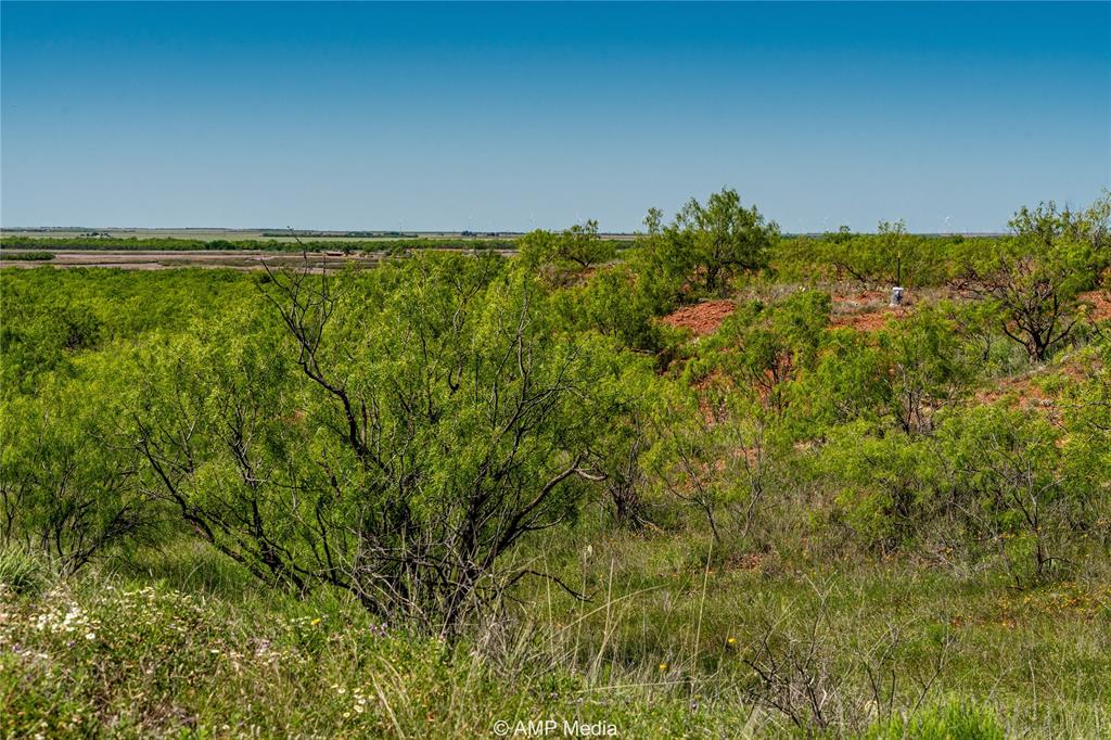 600 St Haskell Tx 79521 Haskell, TX 79521 - Photo 25 of 31 a view of a field of grass and trees