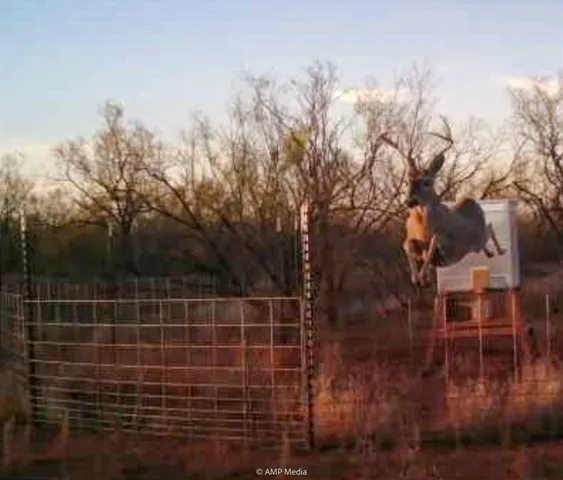 a view of a backyard of the house
