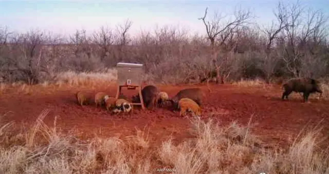 a view of a yard with table and chairs