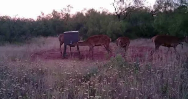 a view of an ocean beach