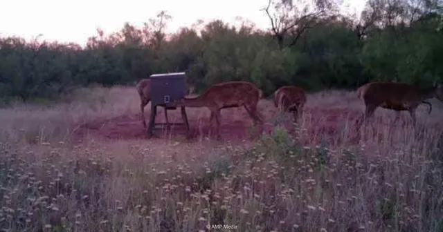 a view of an ocean beach