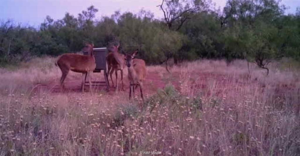 600 St Haskell Tx 79521 Haskell, TX 79521 - Photo 8 of 31 a view of a backyard