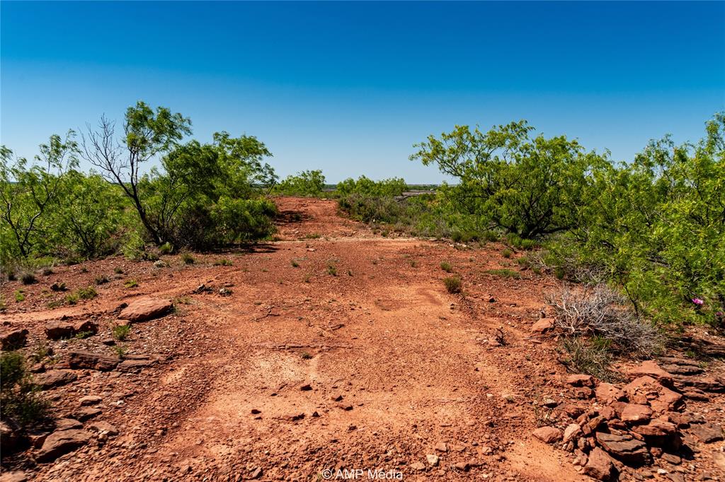 600 St Haskell Tx 79521 Haskell, TX 79521 - Photo 10 of 31 a view of a dry yard with plants and a large tree