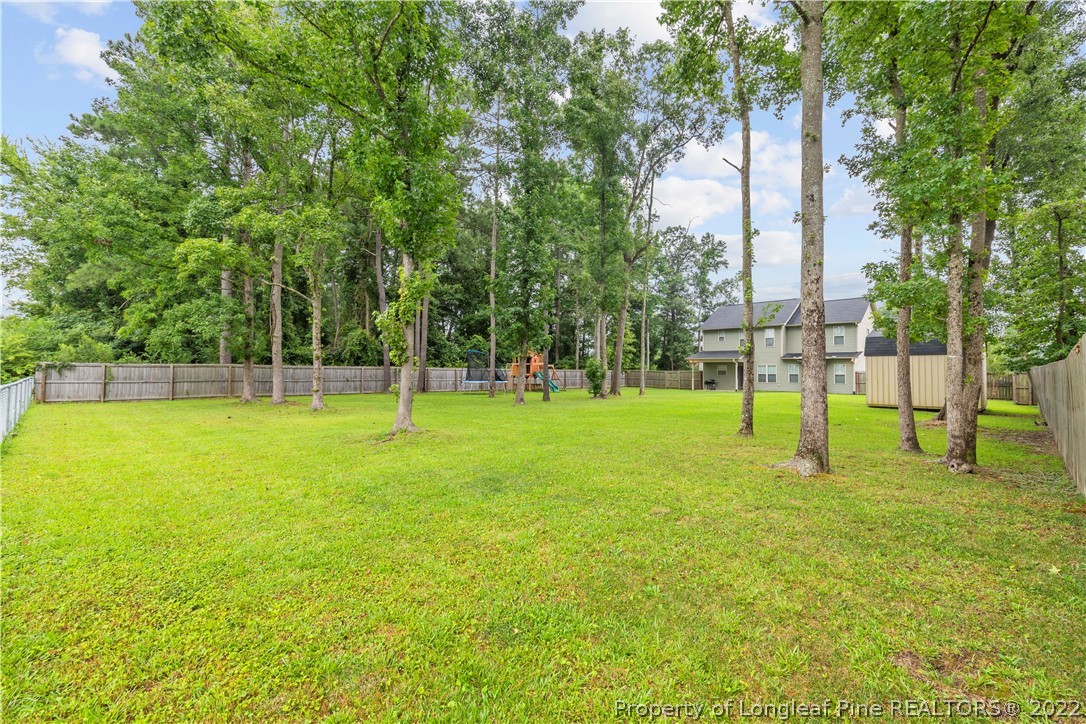 3479 Thrower Road Hope Mills, NC 28348 - Photo 40 of 41 a view of a park with a tree