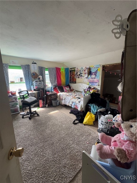 102 County Route Pulaski, NY 13142 - Photo 24 of 49