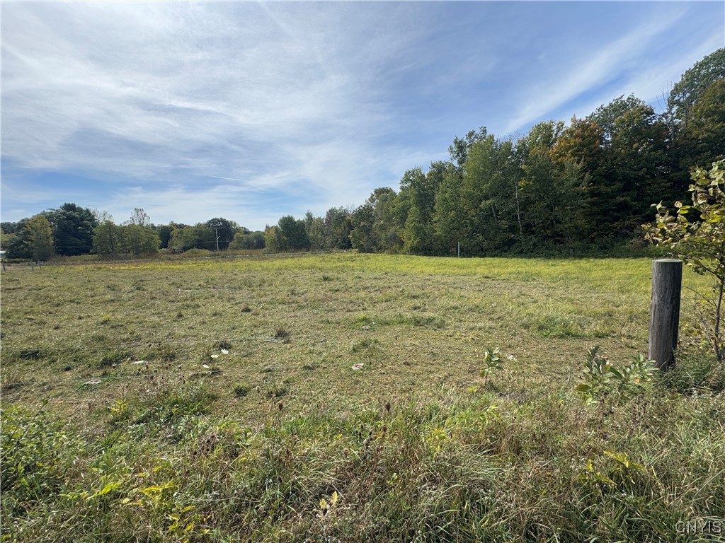 102 County Route Pulaski, NY 13142 - Photo 42 of 49