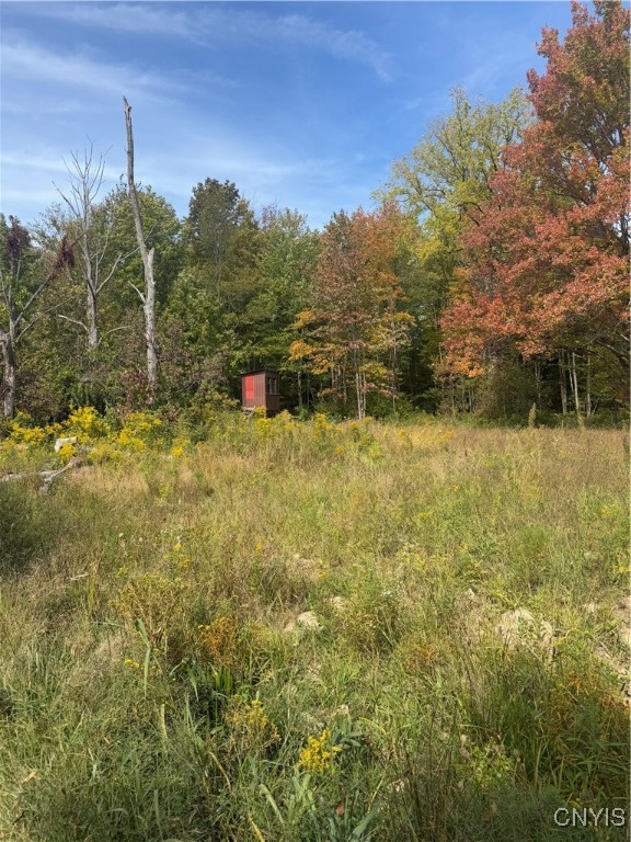 102 County Route Pulaski, NY 13142 - Photo 46 of 49