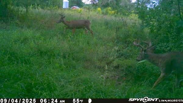 102 County Route Pulaski, NY 13142 - Photo 48 of 49