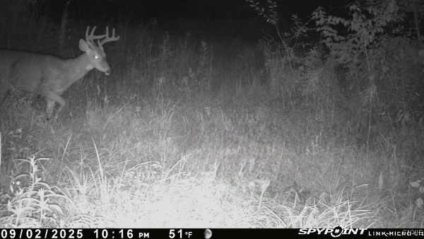 102 County Route Pulaski, NY 13142 - Photo 49 of 49