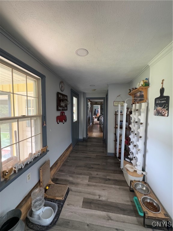 102 County Route Pulaski, NY 13142 - Photo 8 of 49