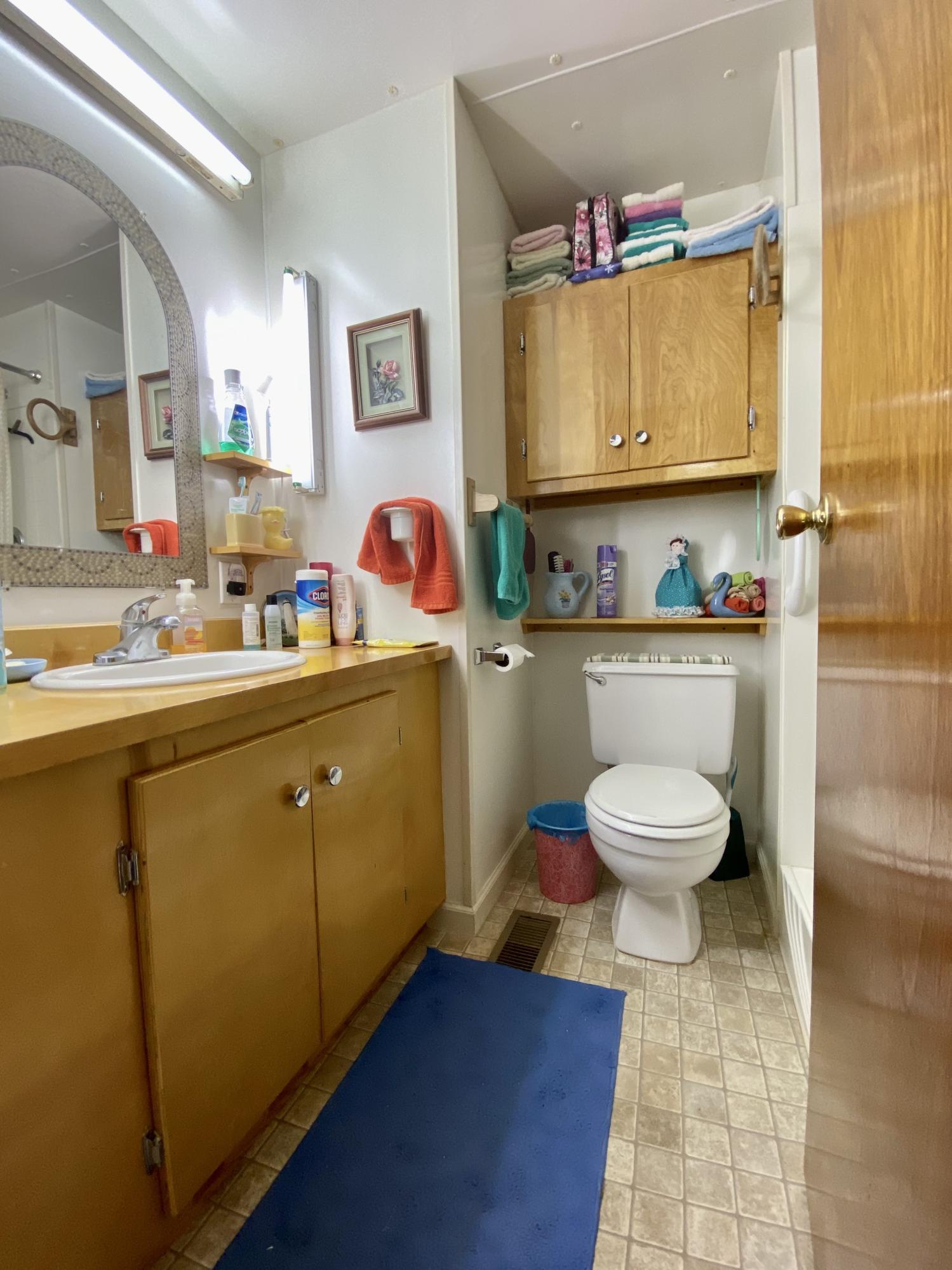 517 Dixon Road Chocowinity, NC 27817 - Photo 34 of 40 hall bathroom