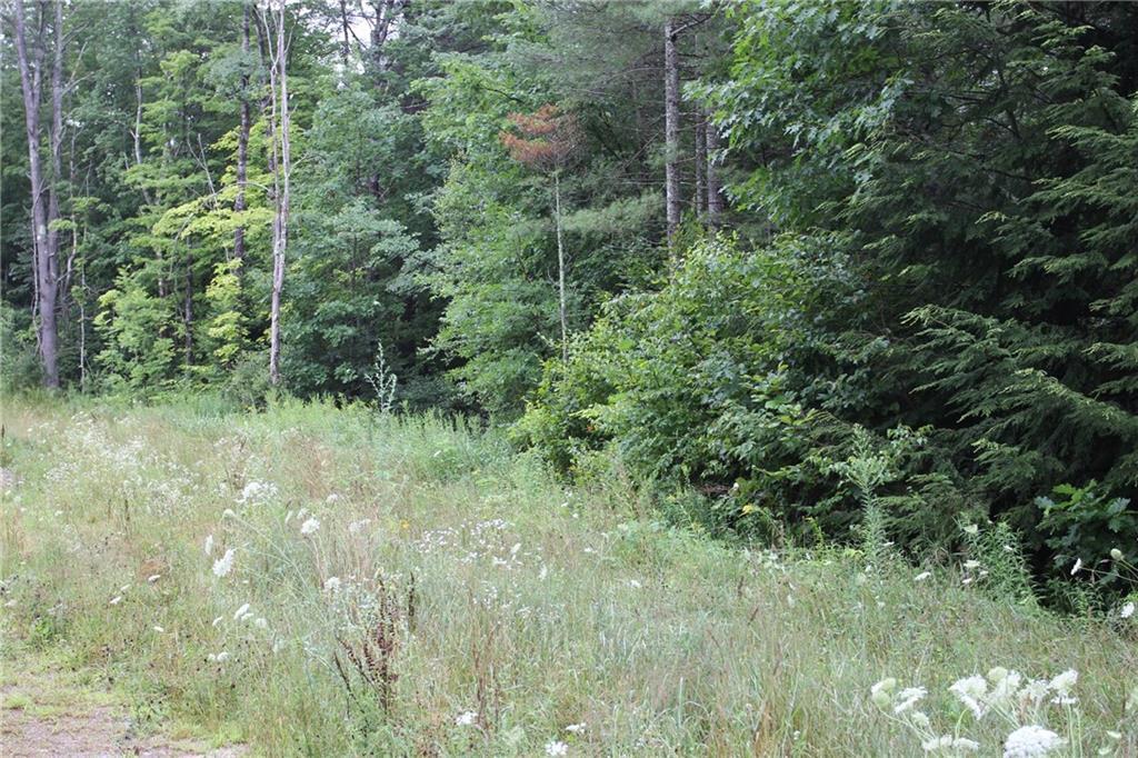 0 Verrill Road Minot, ME 04258 - Photo 5 of 12 Photo