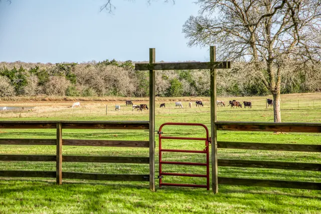 a view of a swimming pool with a yard and trees
