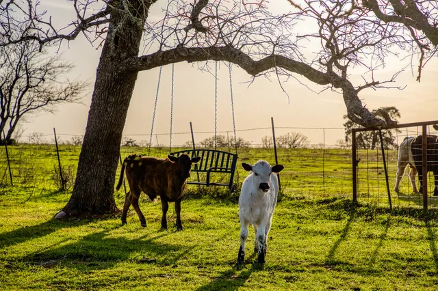 a view of an ocean with residential houses with outdoor space