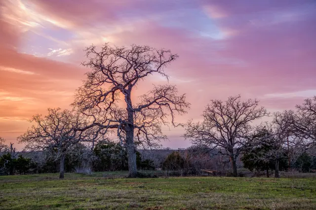 $1,224,999 | 12893 East State Highway 97, Waelder, TX 78959