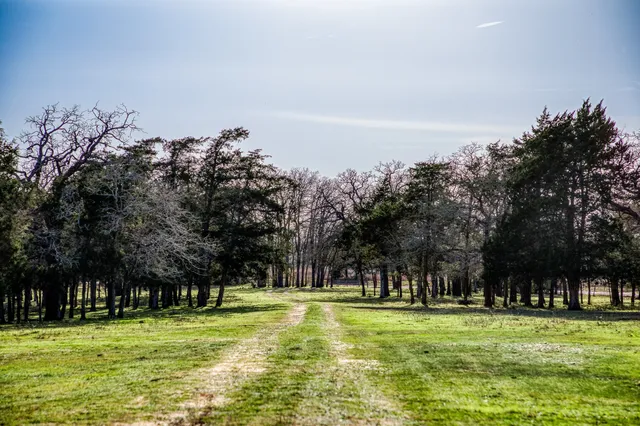 a kitchen with stainless steel appliances granite countertop a sink and a stove
