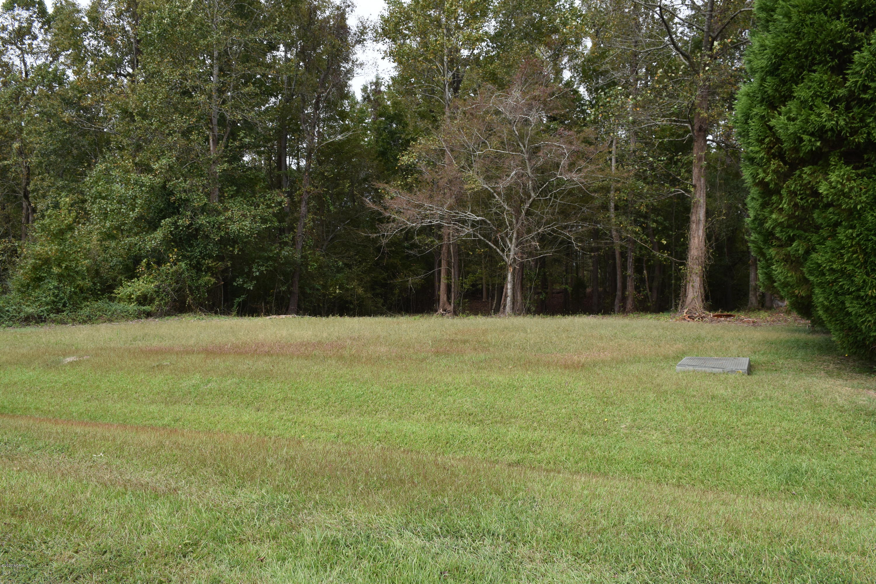 31 Treasure Point Road Bath, NC 27808 - Photo 1 of 21 1.88 AC