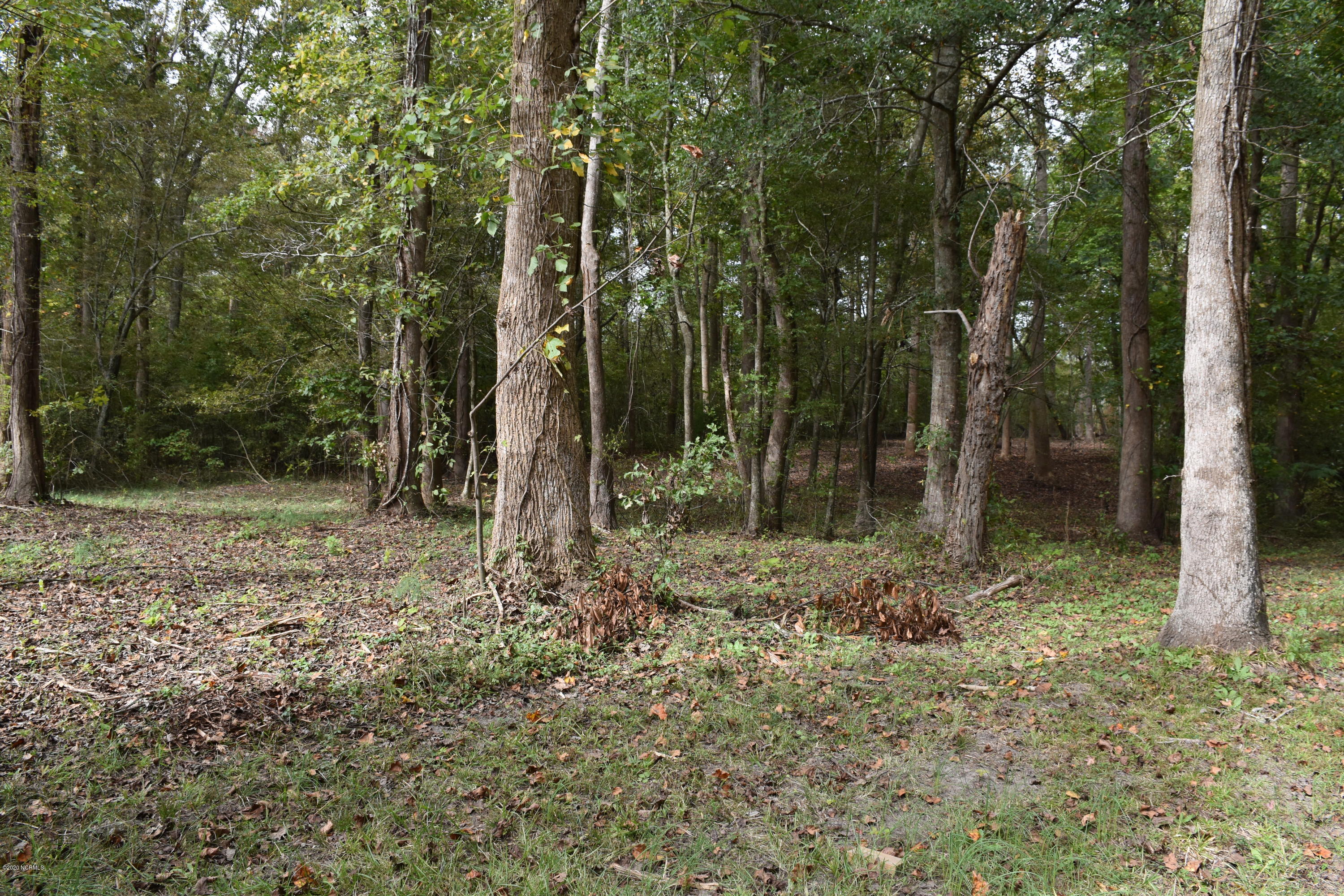 31 Treasure Point Road Bath, NC 27808 - Photo 11 of 21 Lot 31