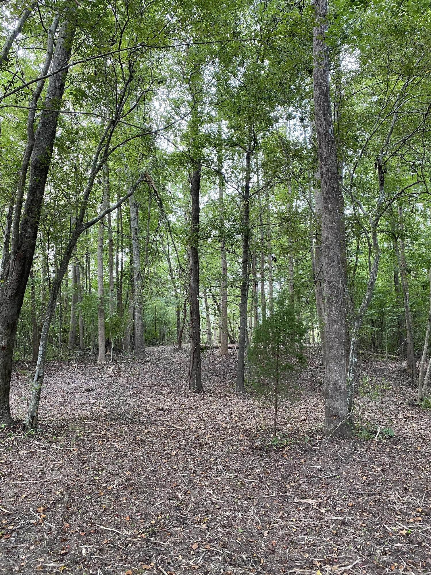 31 Treasure Point Road Bath, NC 27808 - Photo 3 of 21 Walkable lot