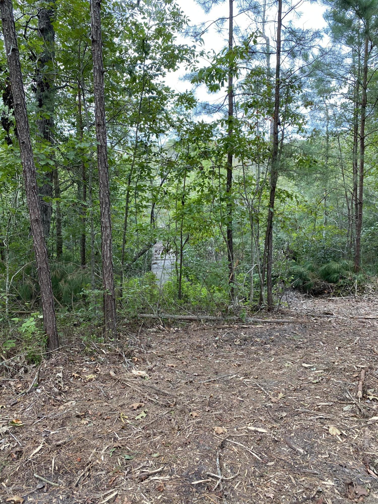 31 Treasure Point Road Bath, NC 27808 - Photo 4 of 21 Lot 31