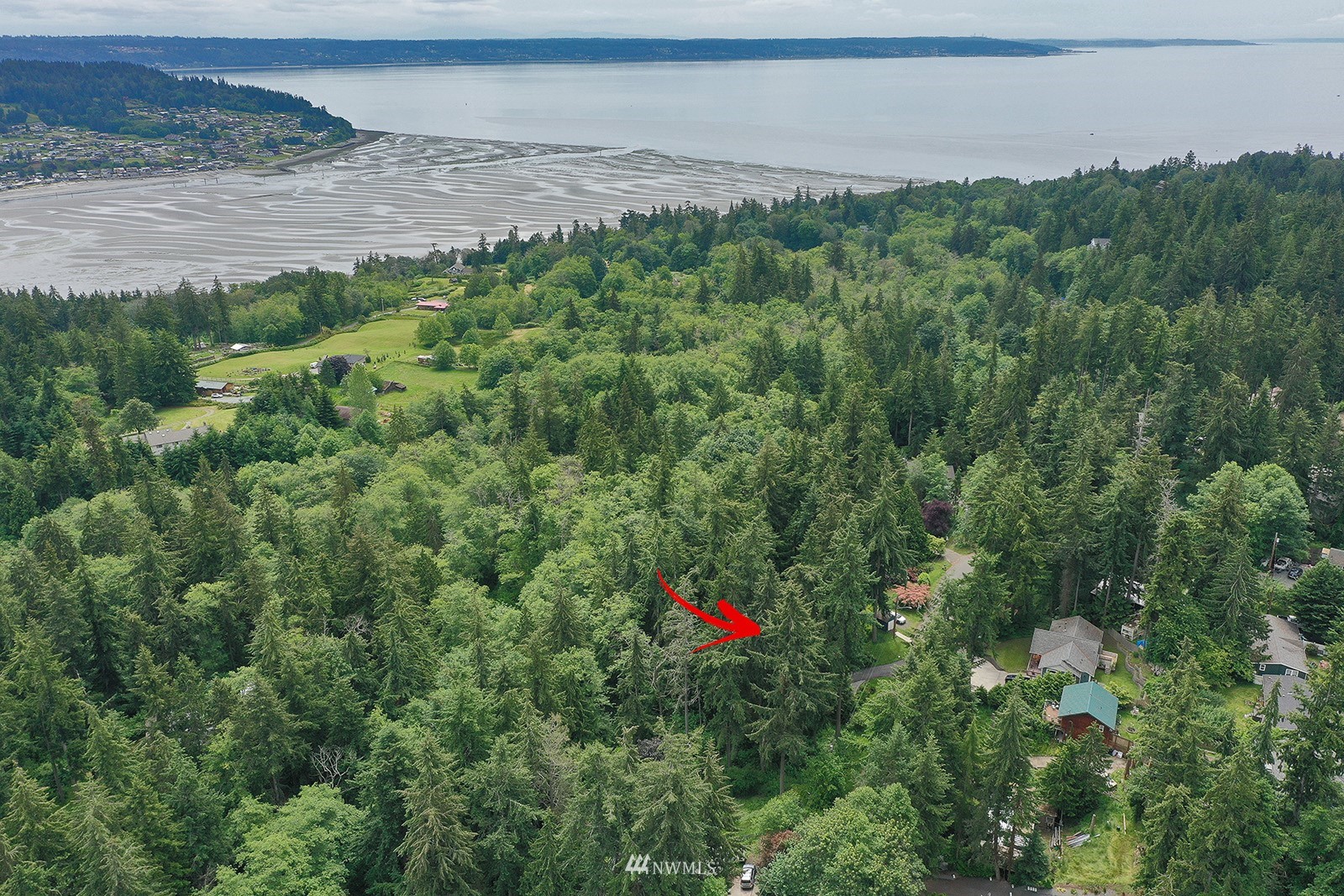 5 Decatur Avenue Clinton, WA 98236 - Photo 19 of 21 Gallery Image 19