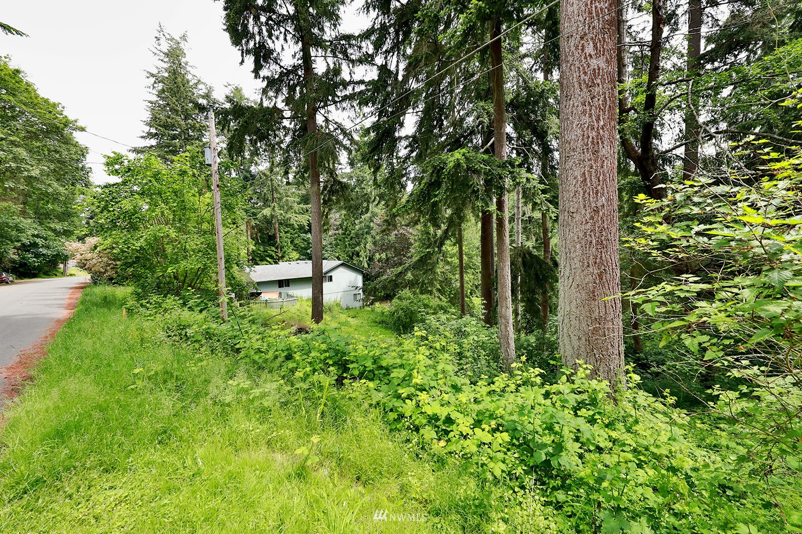 5 Decatur Avenue Clinton, WA 98236 - Photo 4 of 21 Gallery Image 4