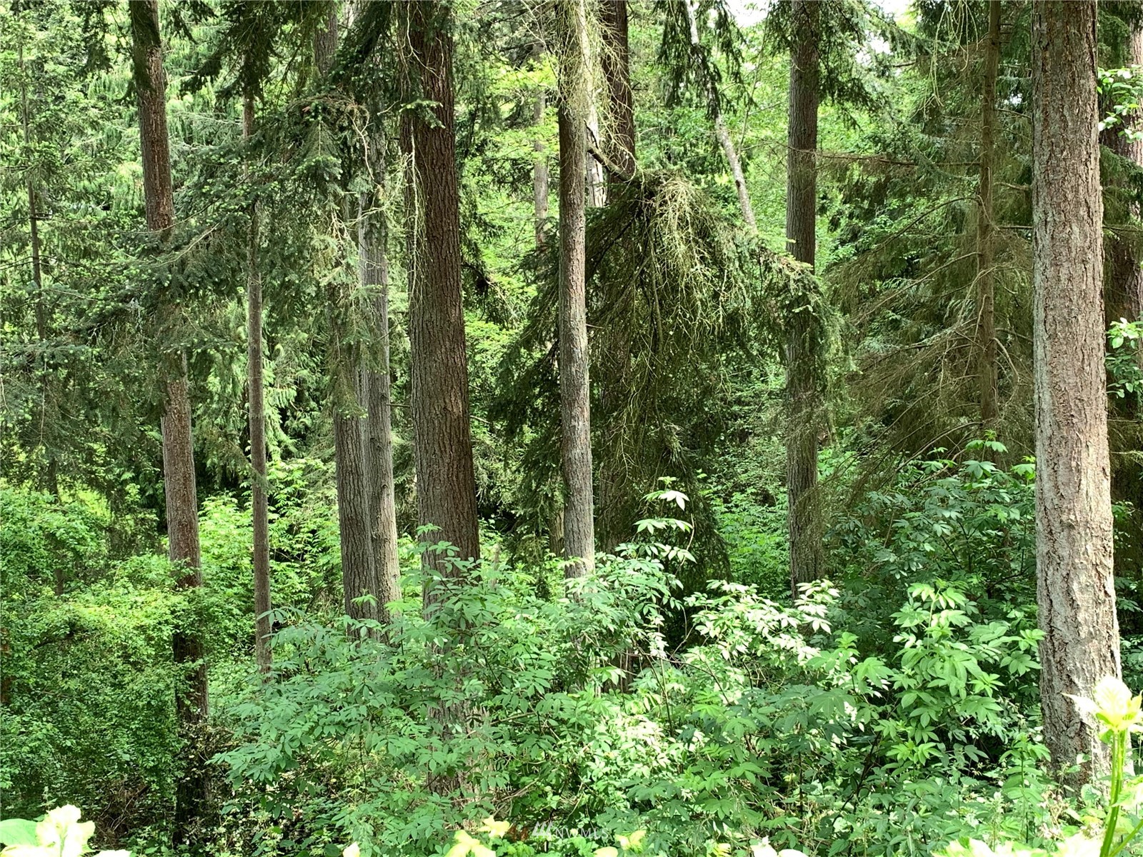 5 Decatur Avenue Clinton, WA 98236 - Photo 7 of 21 Gallery Image 7