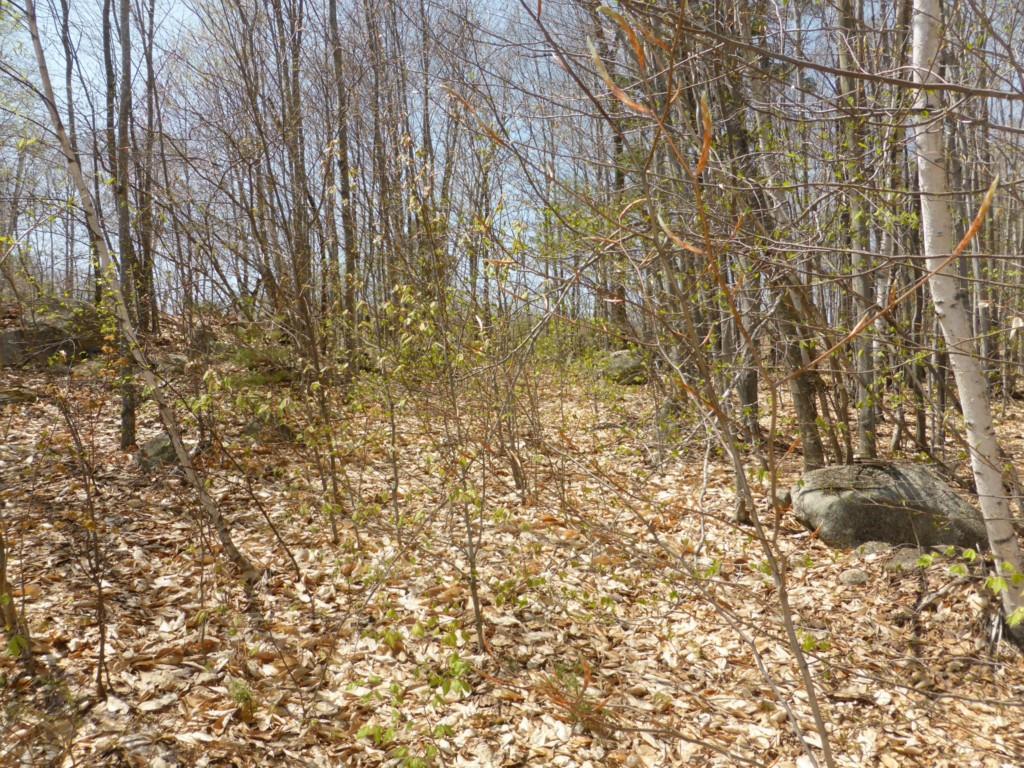 0 Eagle Crestview Lane Sebago, ME 04029 - Photo 11 of 11 Photo