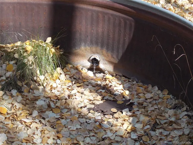 a vase of flowers sitting in front of a house
