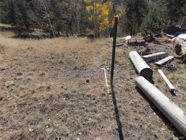 a view of a dry yard covered with snow in the background