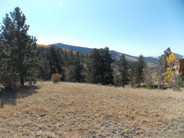 a view of a yard with trees