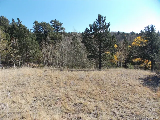 a view of outdoor space yard and patio