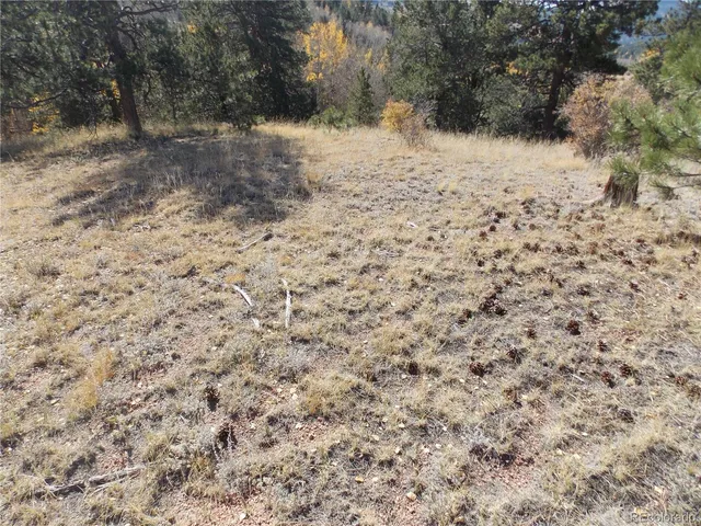 a view of a yard covered with snow