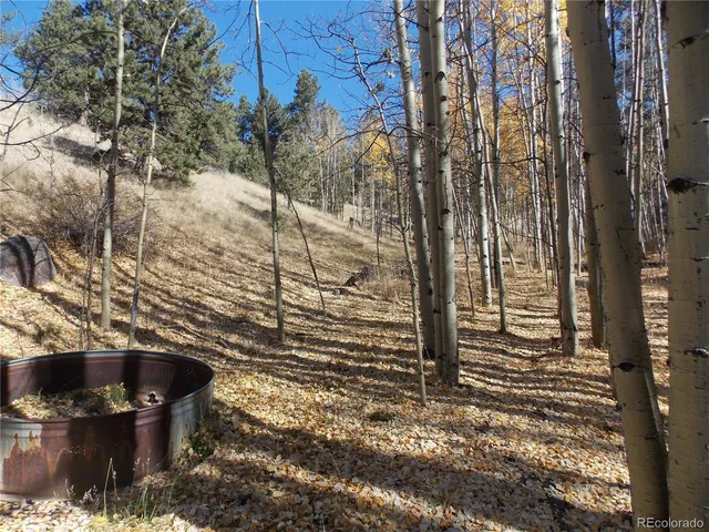 a view of a back yard of the house