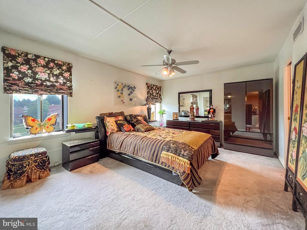 6311 Delaire Landing Road, Unit 311 Philadelphia, PA 19114 - Photo 22 of 41 Main bedroom