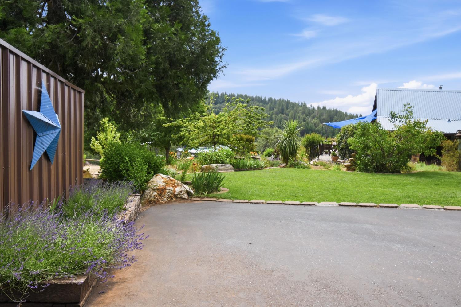 29070 Ridge View Road Foresthill, CA 95631 - Photo 54 of 66