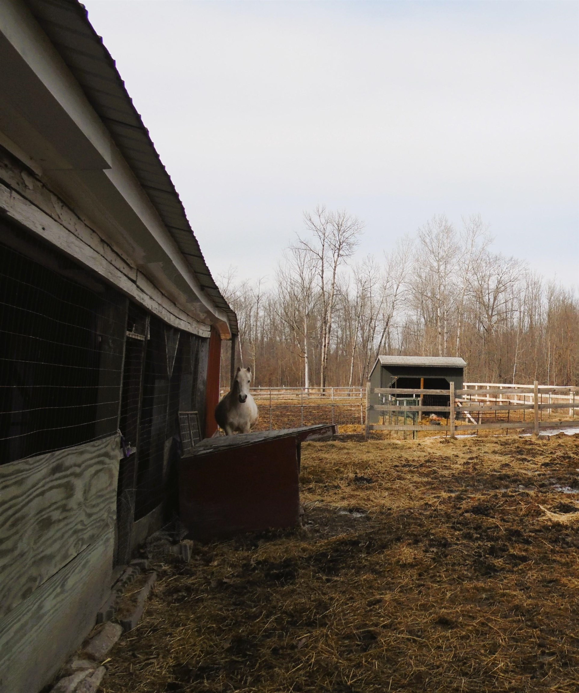 5599 East State Road Hale, MI 48739 - Photo 59 of 98 1931490-f8de971f-1fb5-4067-82b9-38758ed218af.JPG