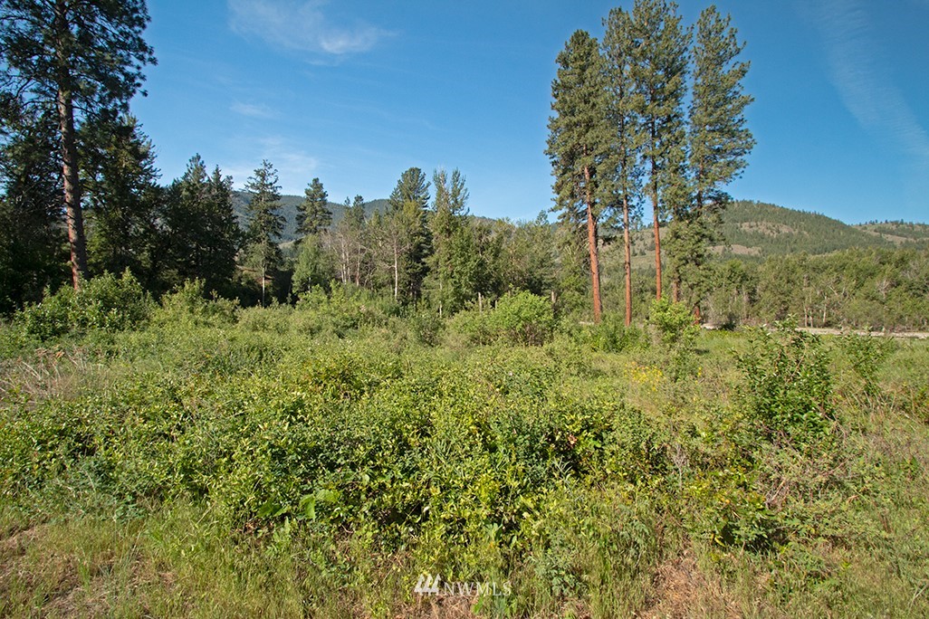 44 Twisp Airport Road Twisp, WA 98856 - Photo 14 of 24