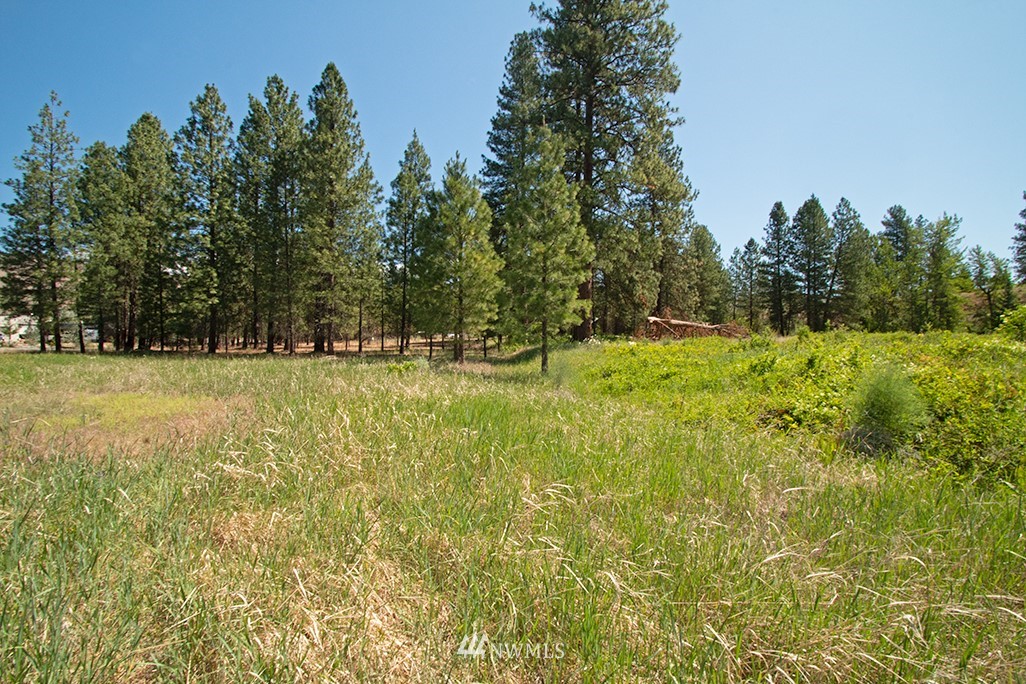 44 Twisp Airport Road Twisp, WA 98856 - Photo 15 of 24