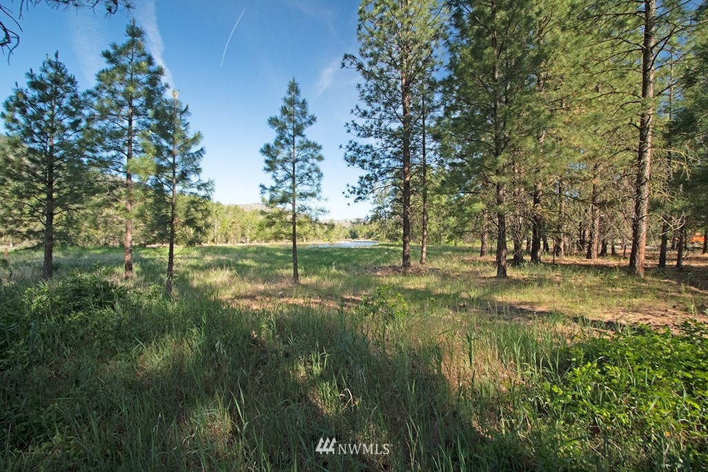 44 Twisp Airport Road Twisp, WA 98856 - Photo 19 of 24