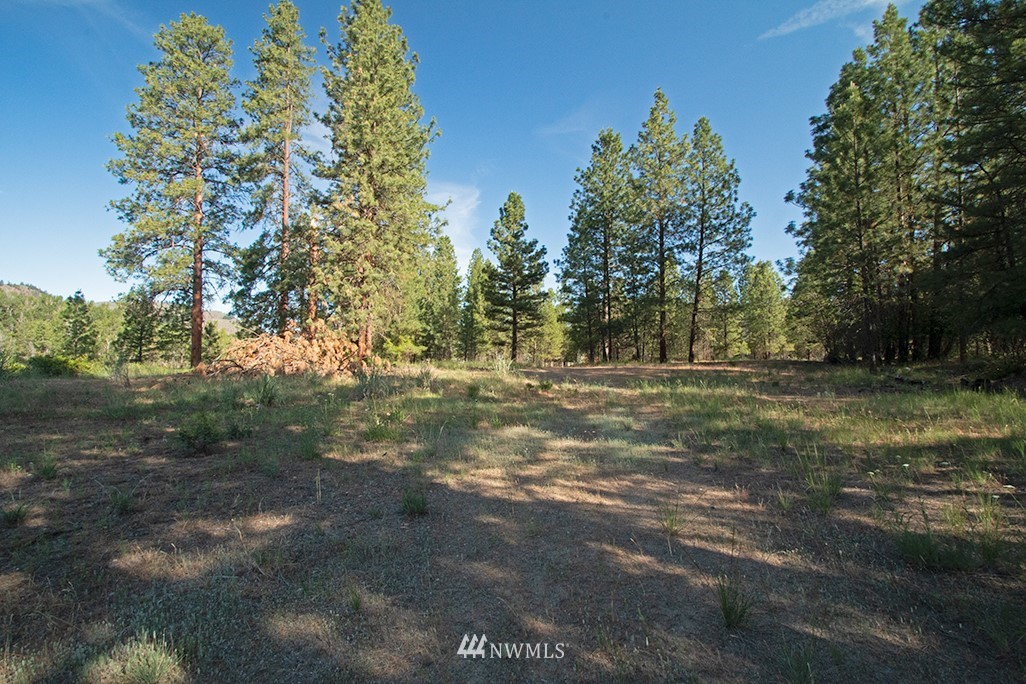 44 Twisp Airport Road Twisp, WA 98856 - Photo 20 of 24