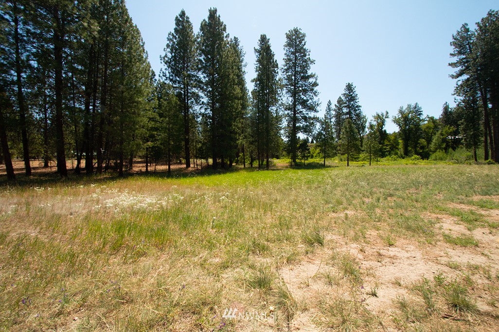 44 Twisp Airport Road Twisp, WA 98856 - Photo 3 of 24