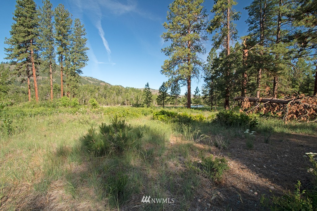 44 Twisp Airport Road Twisp, WA 98856 - Photo 21 of 24
