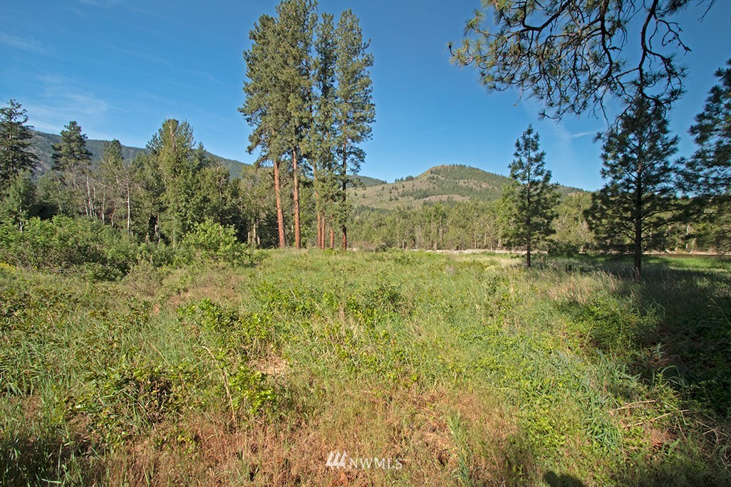 44 Twisp Airport Road Twisp, WA 98856 - Photo 22 of 24