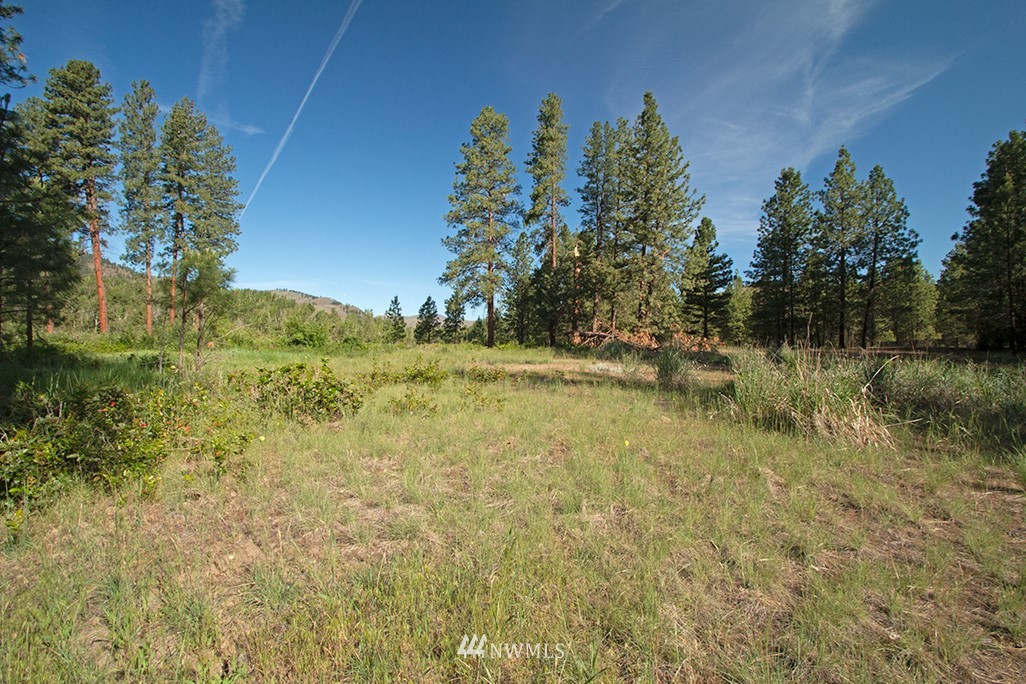 44 Twisp Airport Road Twisp, WA 98856 - Photo 24 of 24