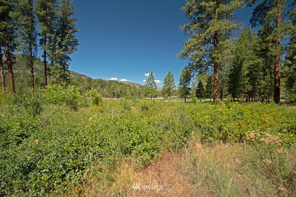 44 Twisp Airport Road Twisp, WA 98856 - Photo 4 of 24