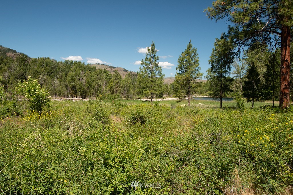 44 Twisp Airport Road Twisp, WA 98856 - Photo 5 of 24