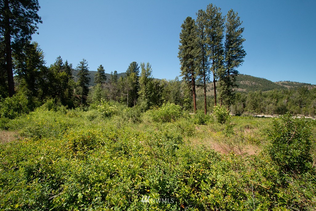 44 Twisp Airport Road Twisp, WA 98856 - Photo 6 of 24